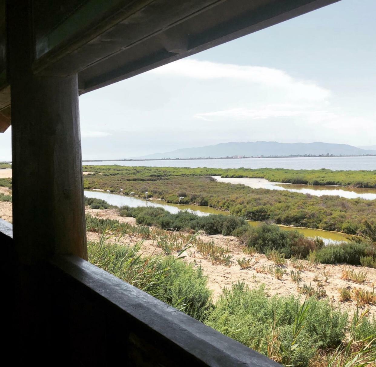 L'Eucaliptus Albergue Delta מראה חיצוני תמונה